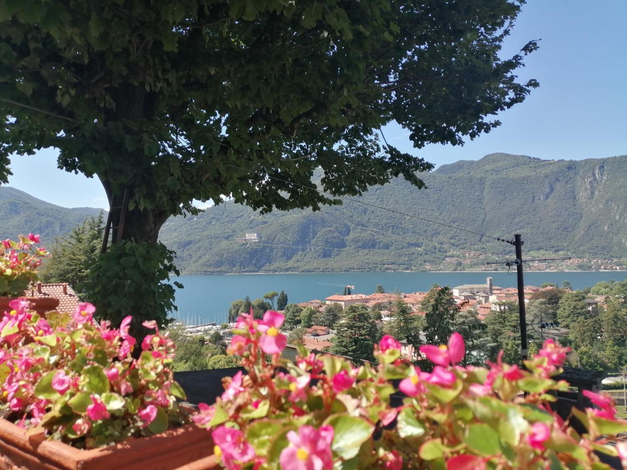 Lake And Guzzi View - Holiday Home Mandello del Lario Exterior photo